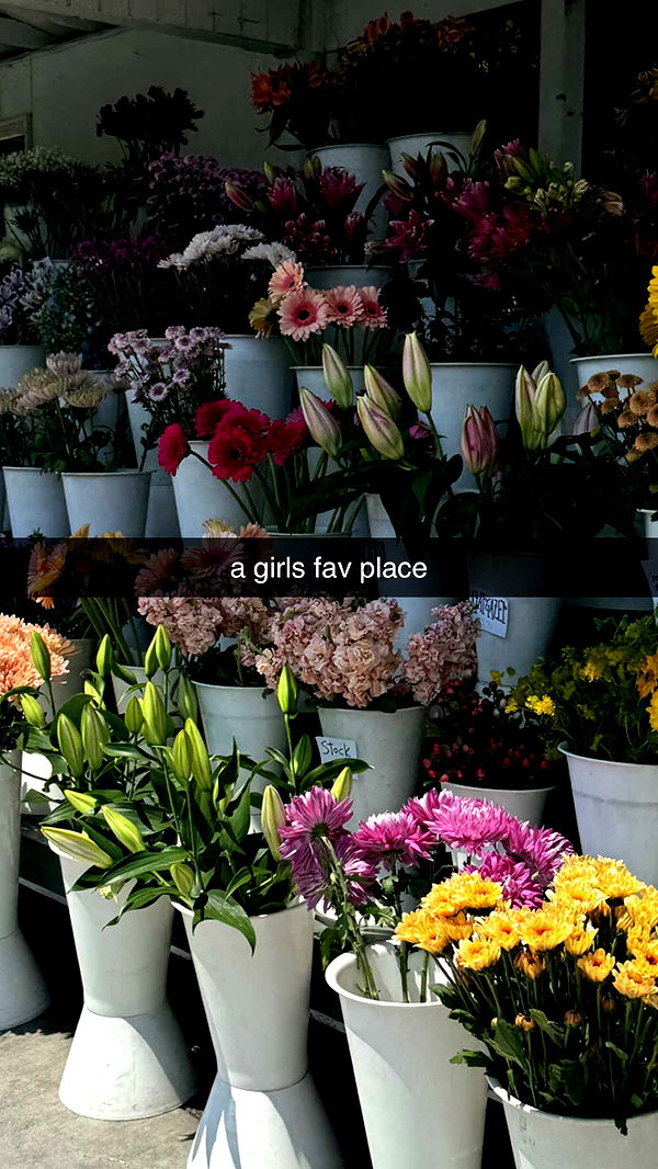 chloerosenbaum image ~ Altpins