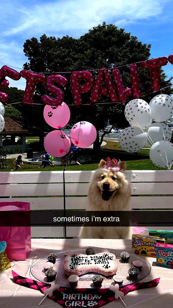 chloerosenbaum image ~ Altpins