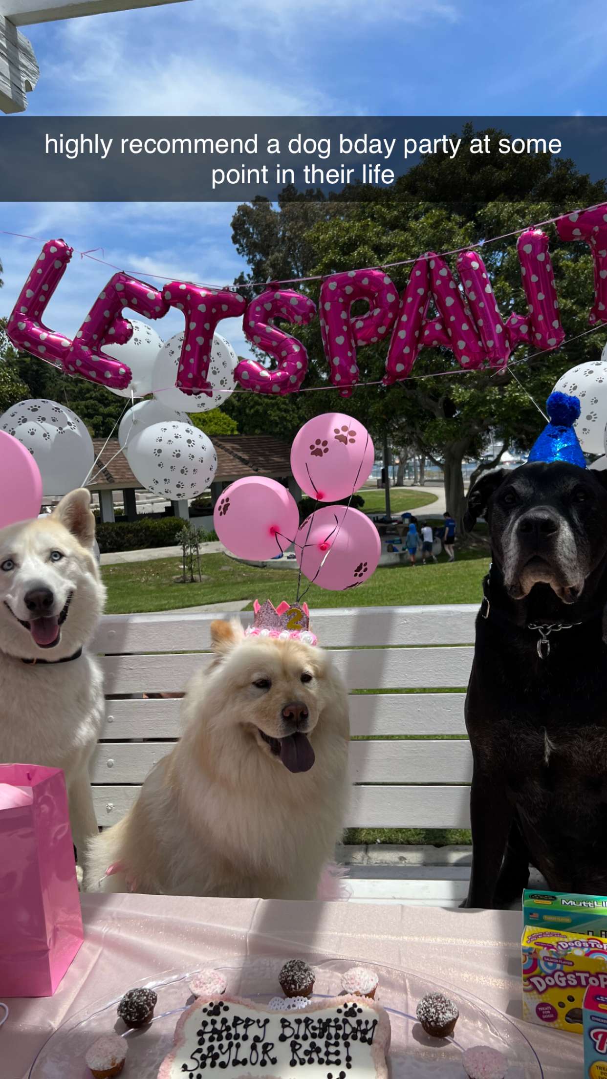 chloerosenbaum snapchat image archive image