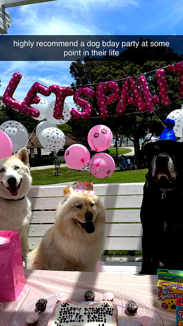 chloerosenbaum image ~ Altpins