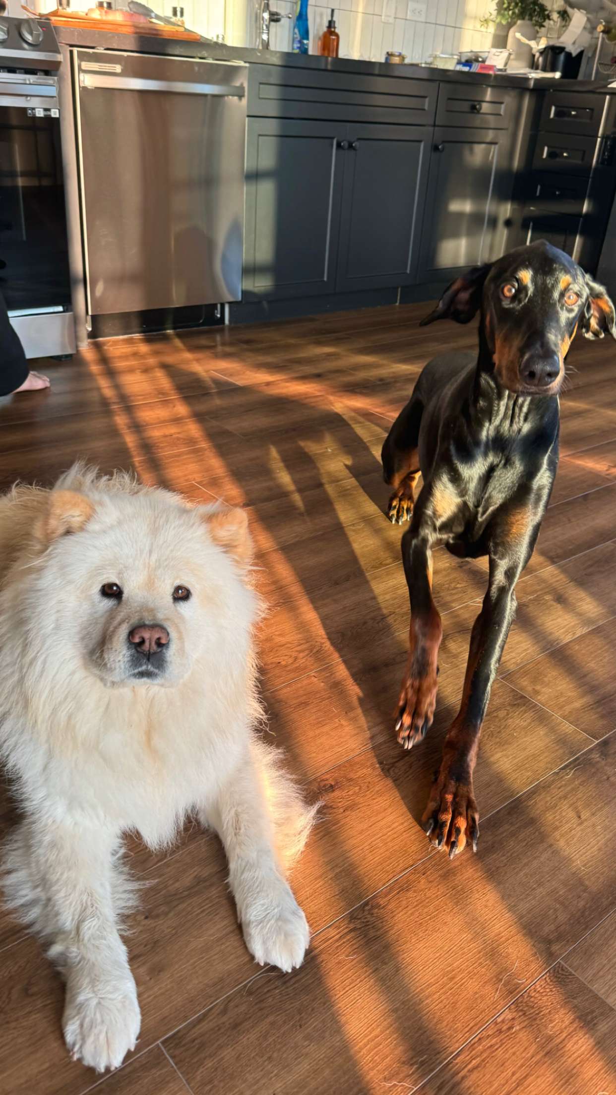 chloerosenbaum snapchat image archive image