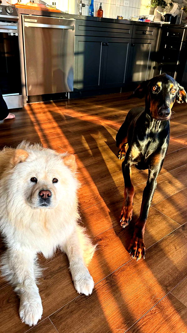 chloerosenbaum image ~ Altpins