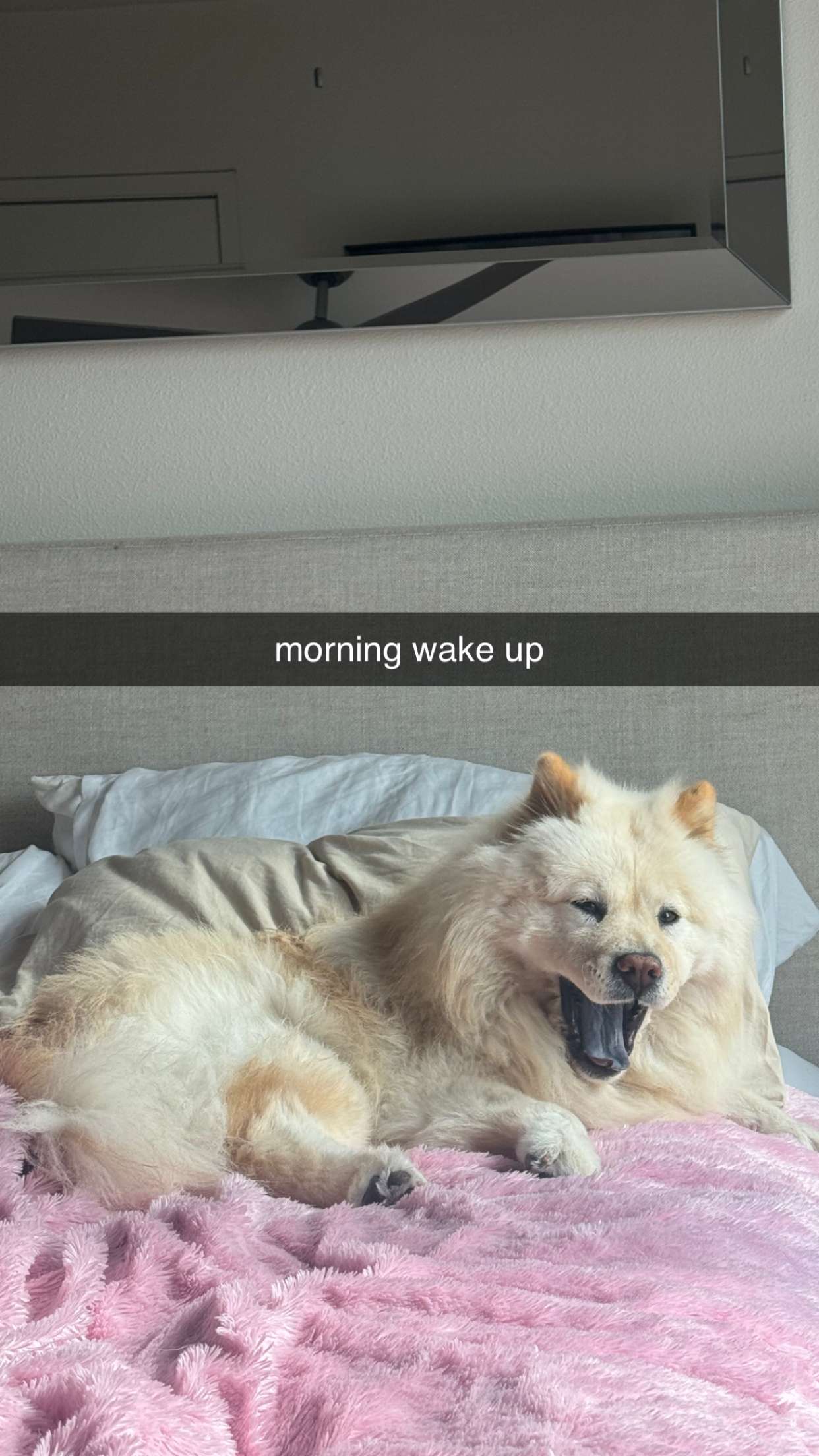 chloerosenbaum snapchat image archive image