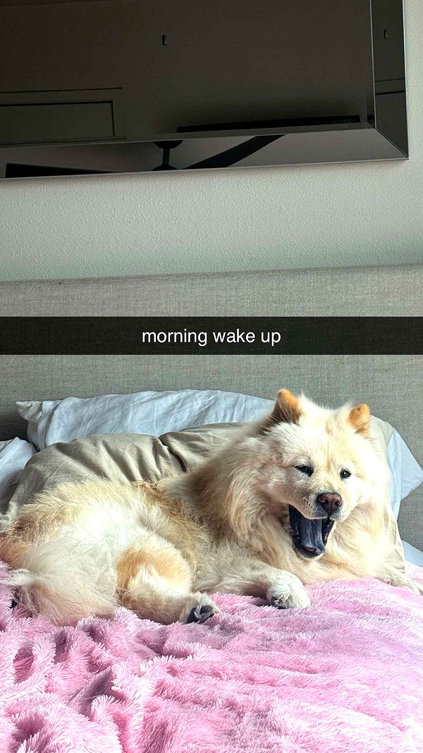 chloerosenbaum image ~ Altpins