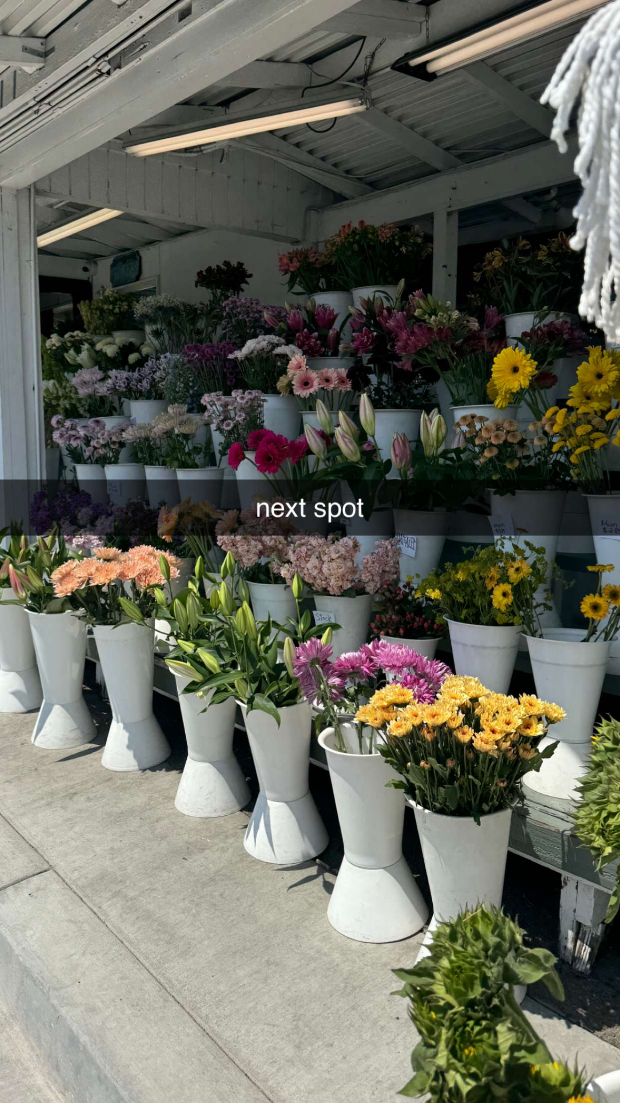 chloerosenbaum snapchat image archive image