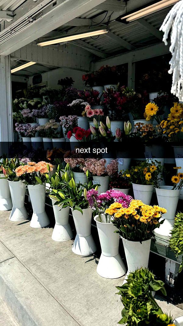 chloerosenbaum image ~ Altpins