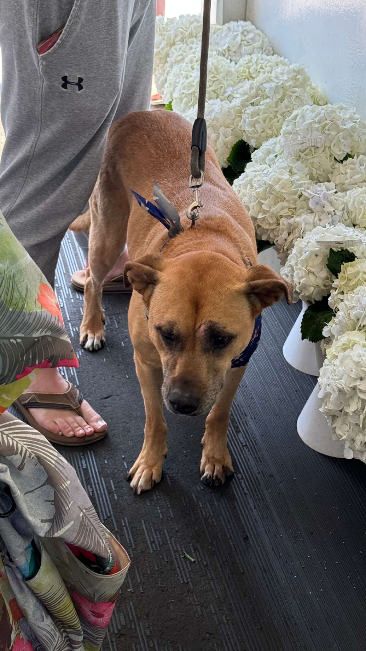 chloerosenbaum snapchat image archive image