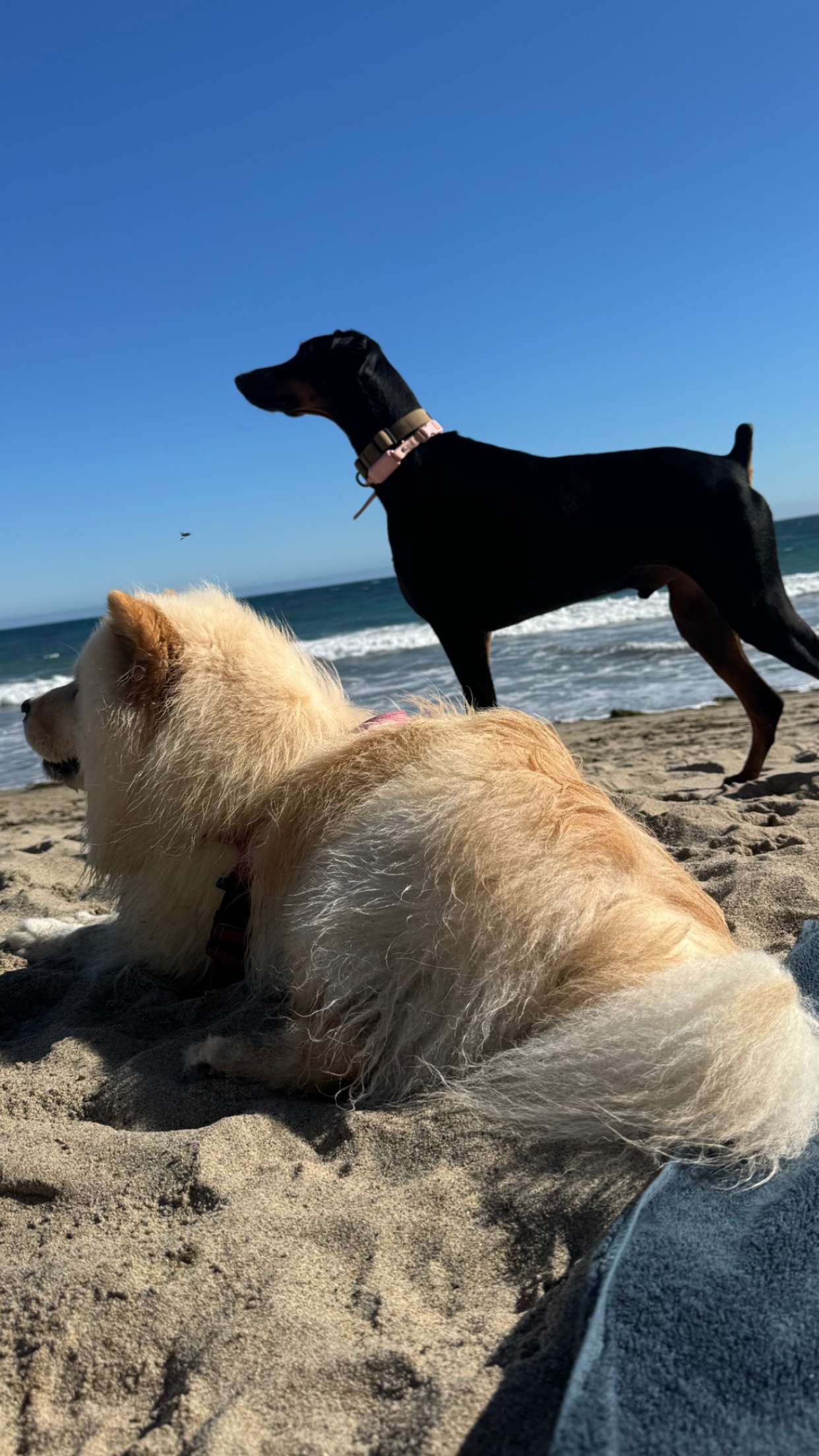 chloerosenbaum snapchat image archive image