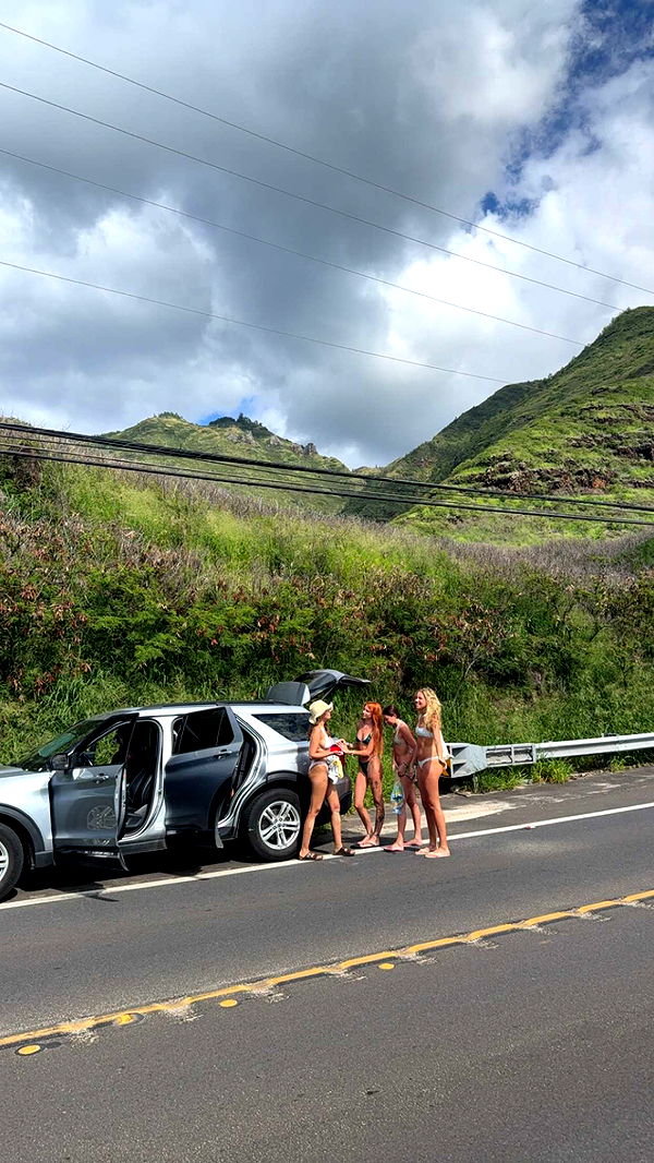 chloerosenbaum image ~ Altpins