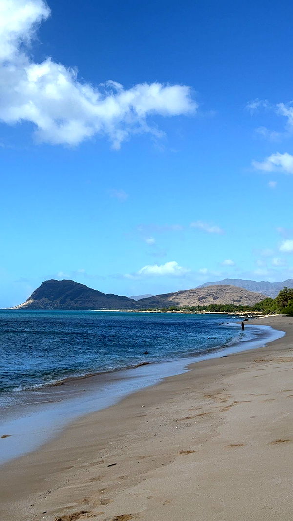 chloerosenbaum image ~ Altpins