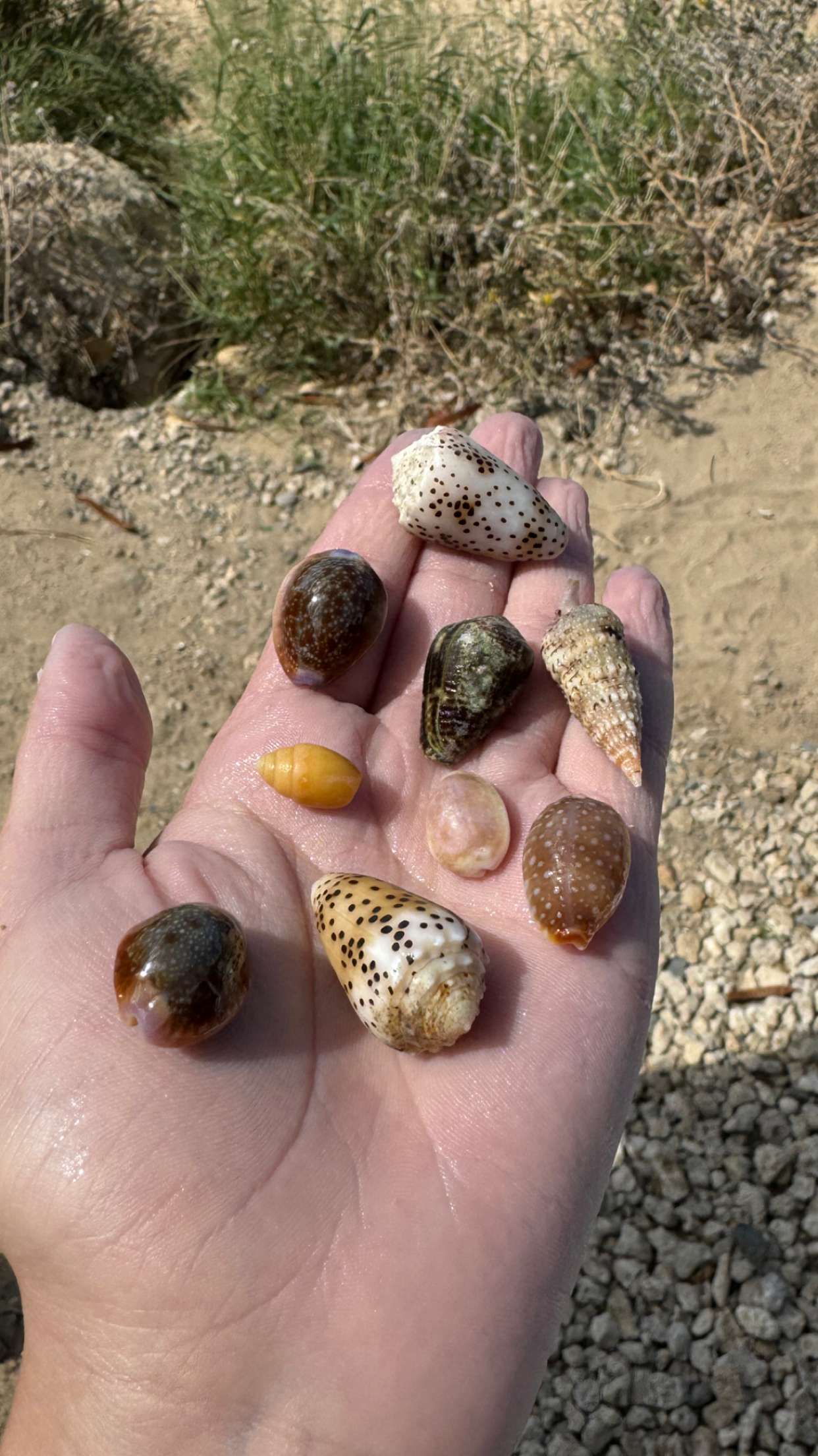 chloerosenbaum snapchat image archive image