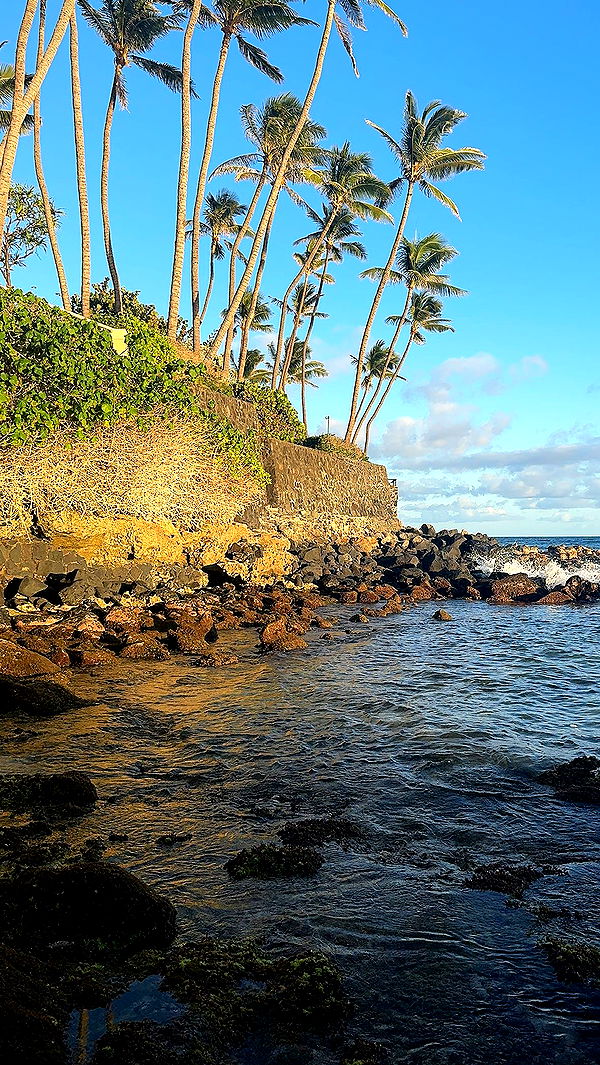 chloerosenbaum image ~ Altpins