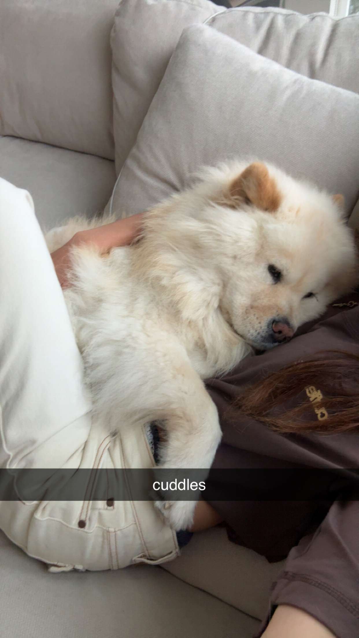 chloerosenbaum snapchat image archive image