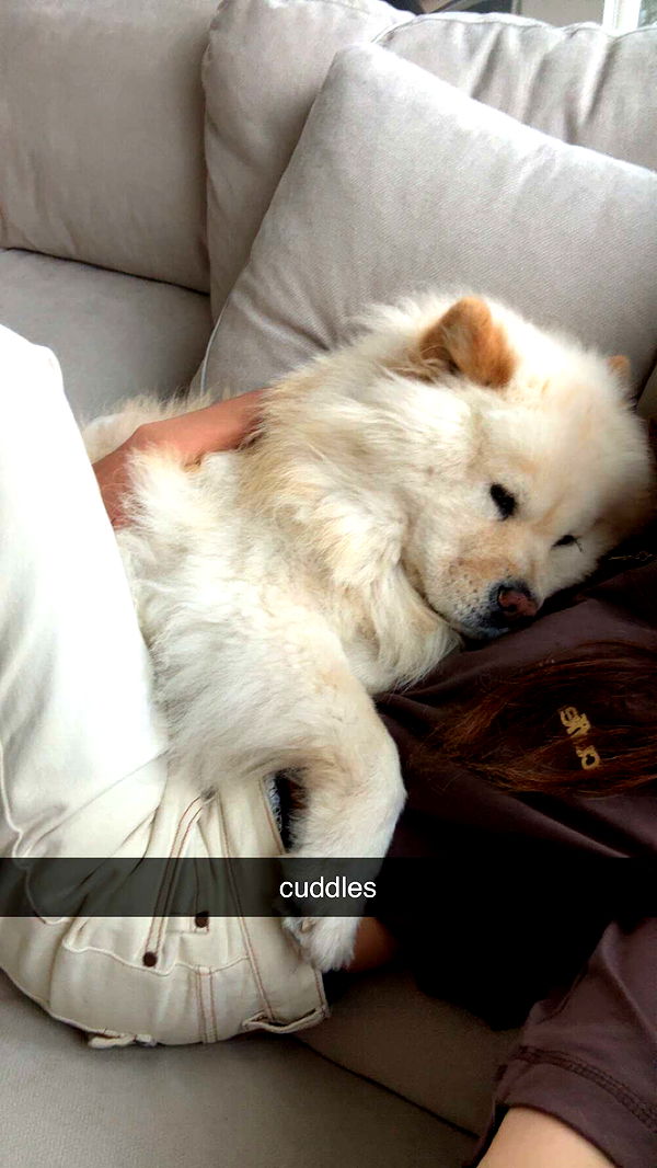 chloerosenbaum image ~ Altpins