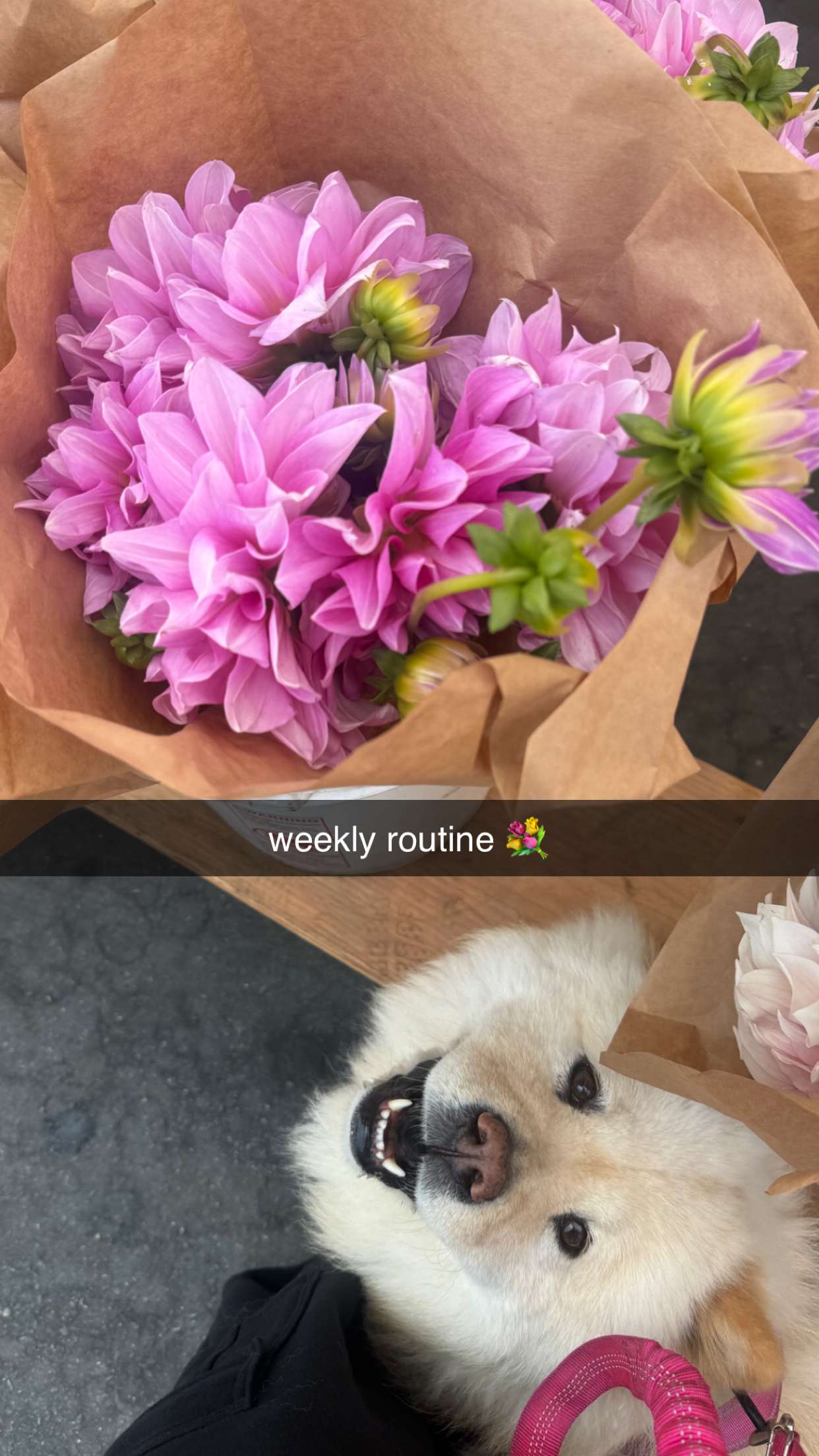 chloerosenbaum snapchat image archive image