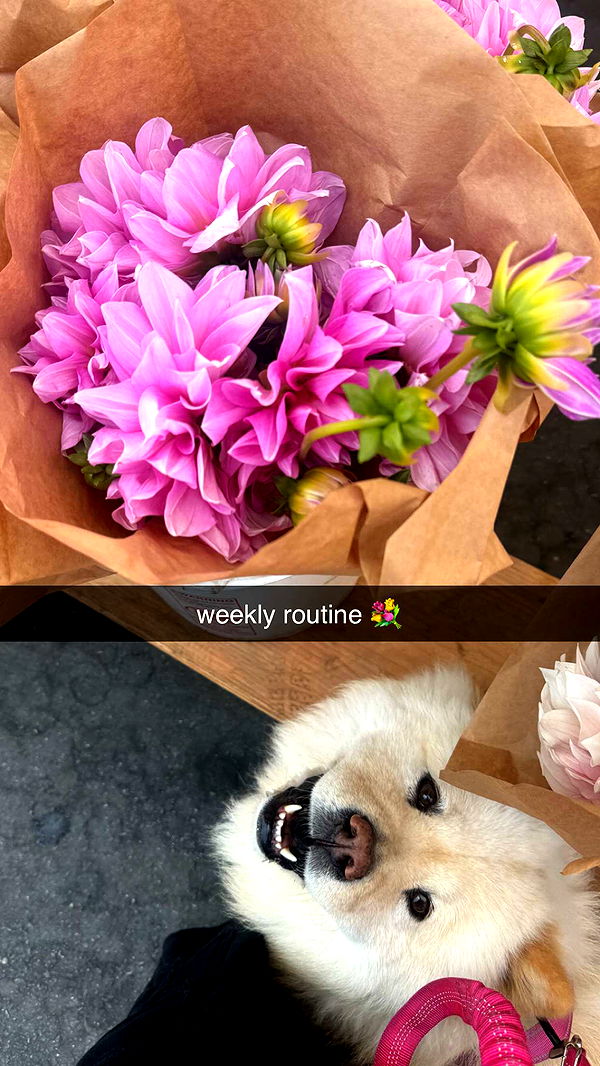 chloerosenbaum image ~ Altpins