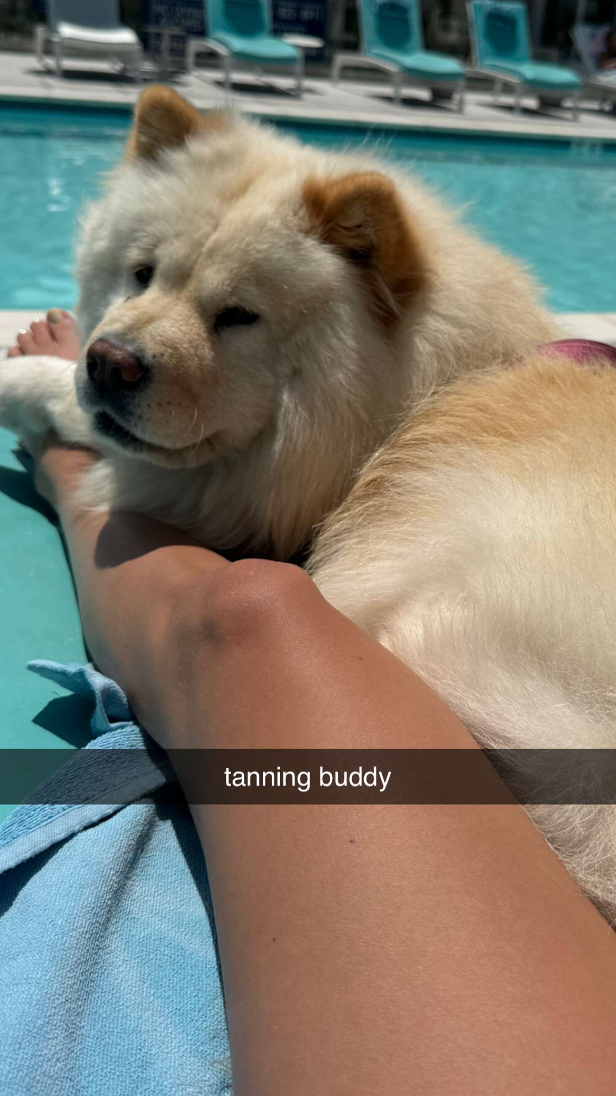 chloerosenbaum snapchat image archive image