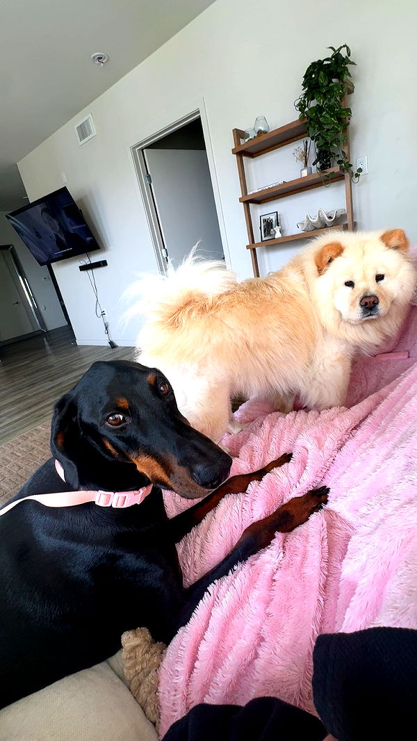 chloerosenbaum image ~ Altpins