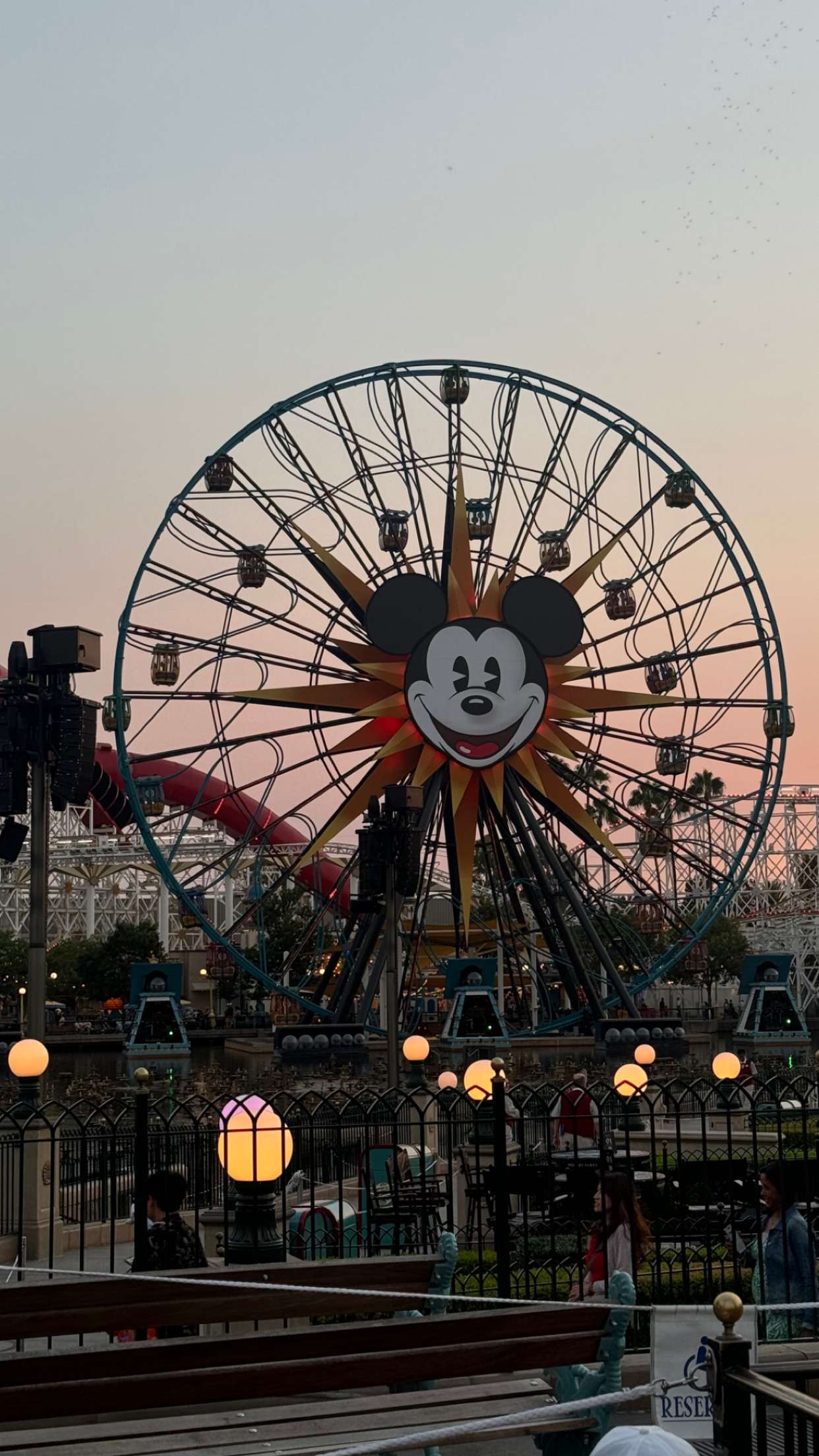 chloerosenbaum snapchat image archive image