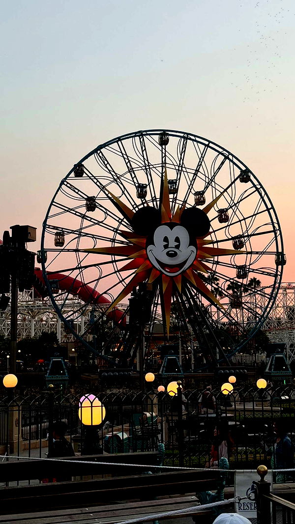 chloerosenbaum image ~ Altpins