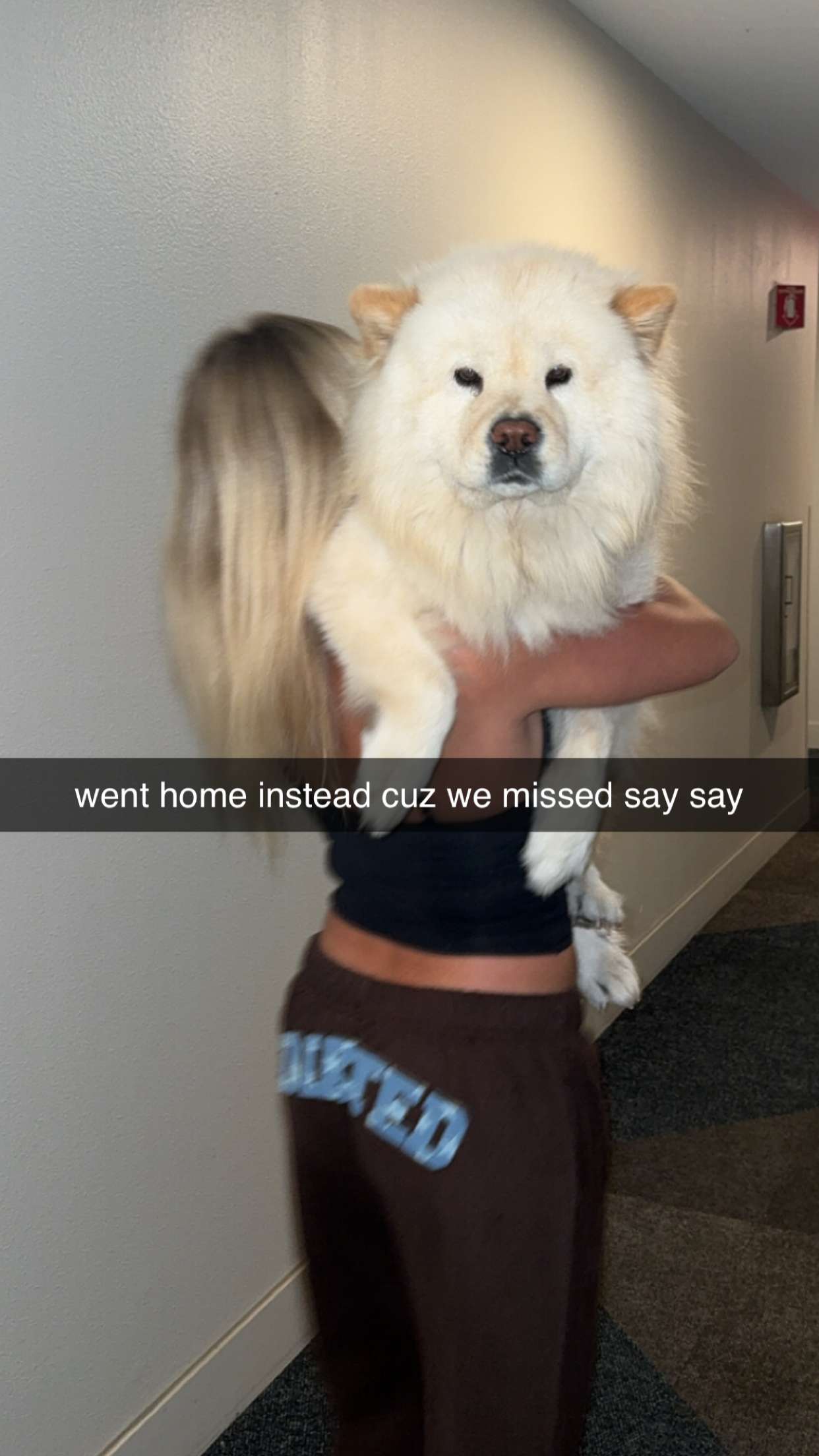 chloerosenbaum snapchat image archive image