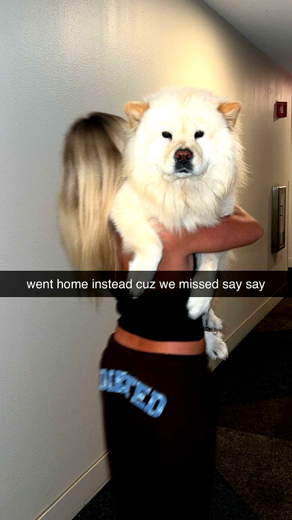 chloerosenbaum image ~ Altpins