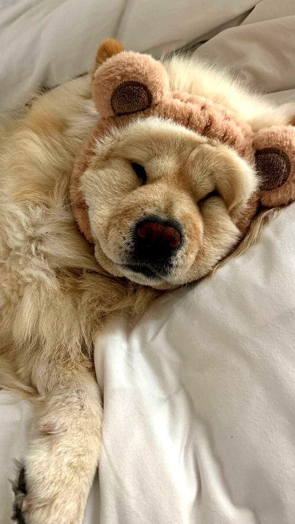 chloerosenbaum image ~ Altpins