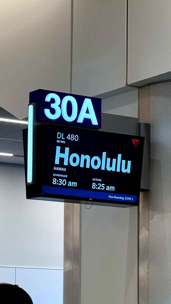 chloerosenbaum image ~ Altpins