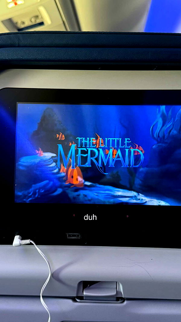 chloerosenbaum image ~ Altpins