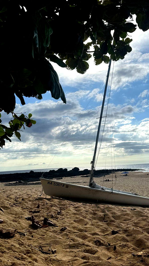 chloerosenbaum image ~ Altpins