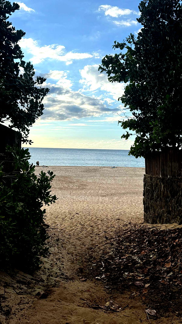 chloerosenbaum image ~ Altpins