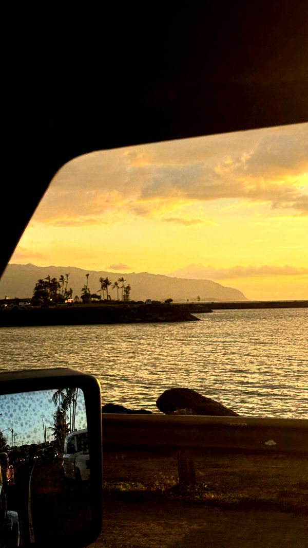 chloerosenbaum image ~ Altpins