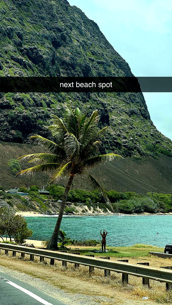 chloerosenbaum image ~ Altpins