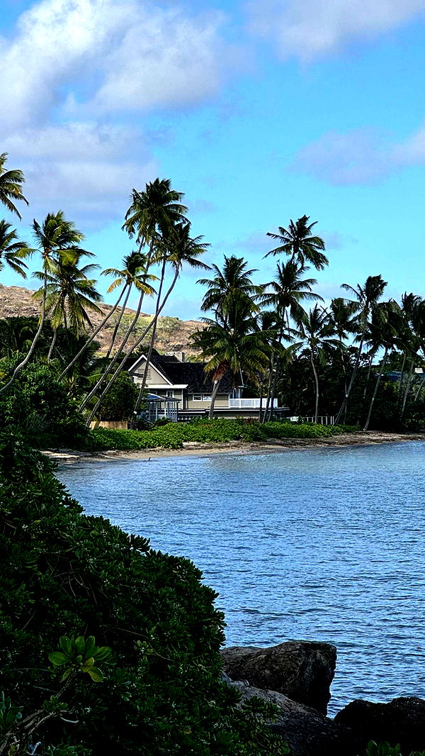 chloerosenbaum image ~ Altpins