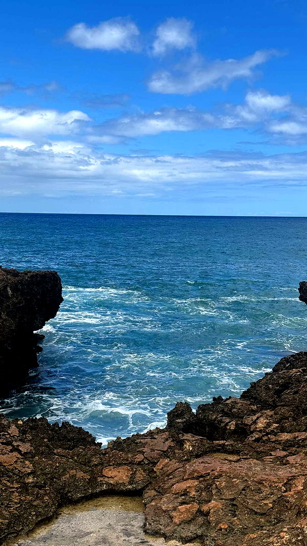 chloerosenbaum image ~ Altpins