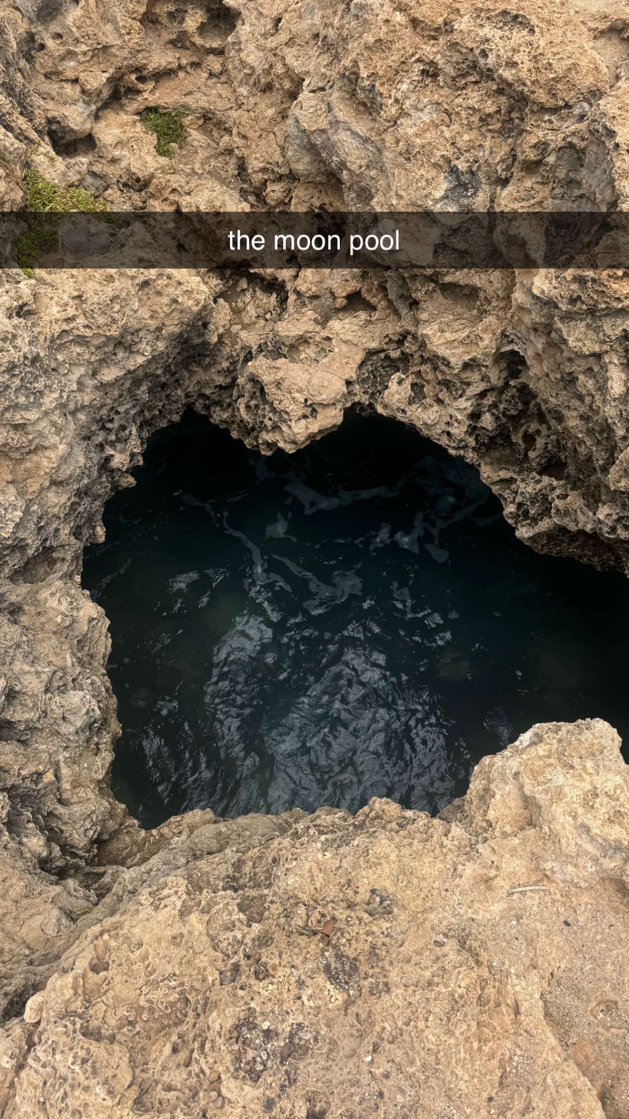 chloerosenbaum snapchat image archive image