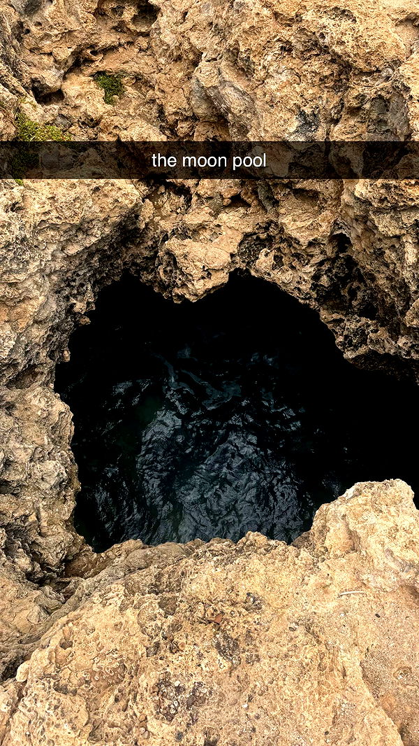 chloerosenbaum image ~ Altpins