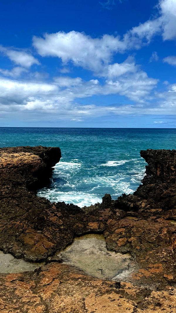 chloerosenbaum image ~ Altpins