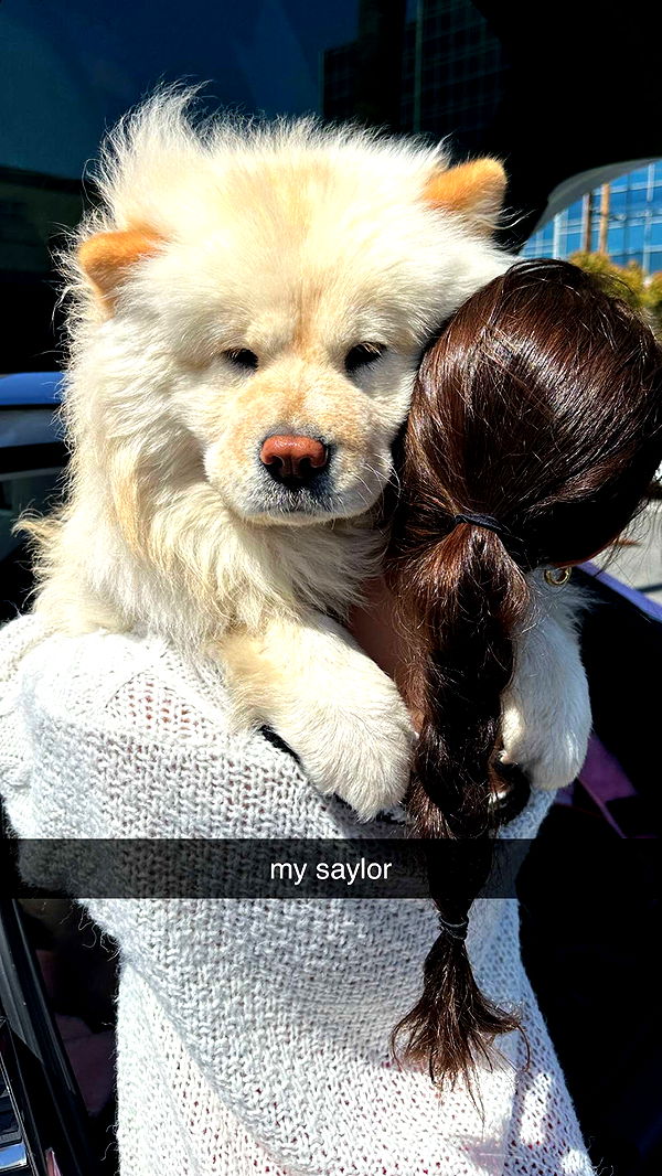 chloerosenbaum image ~ Altpins