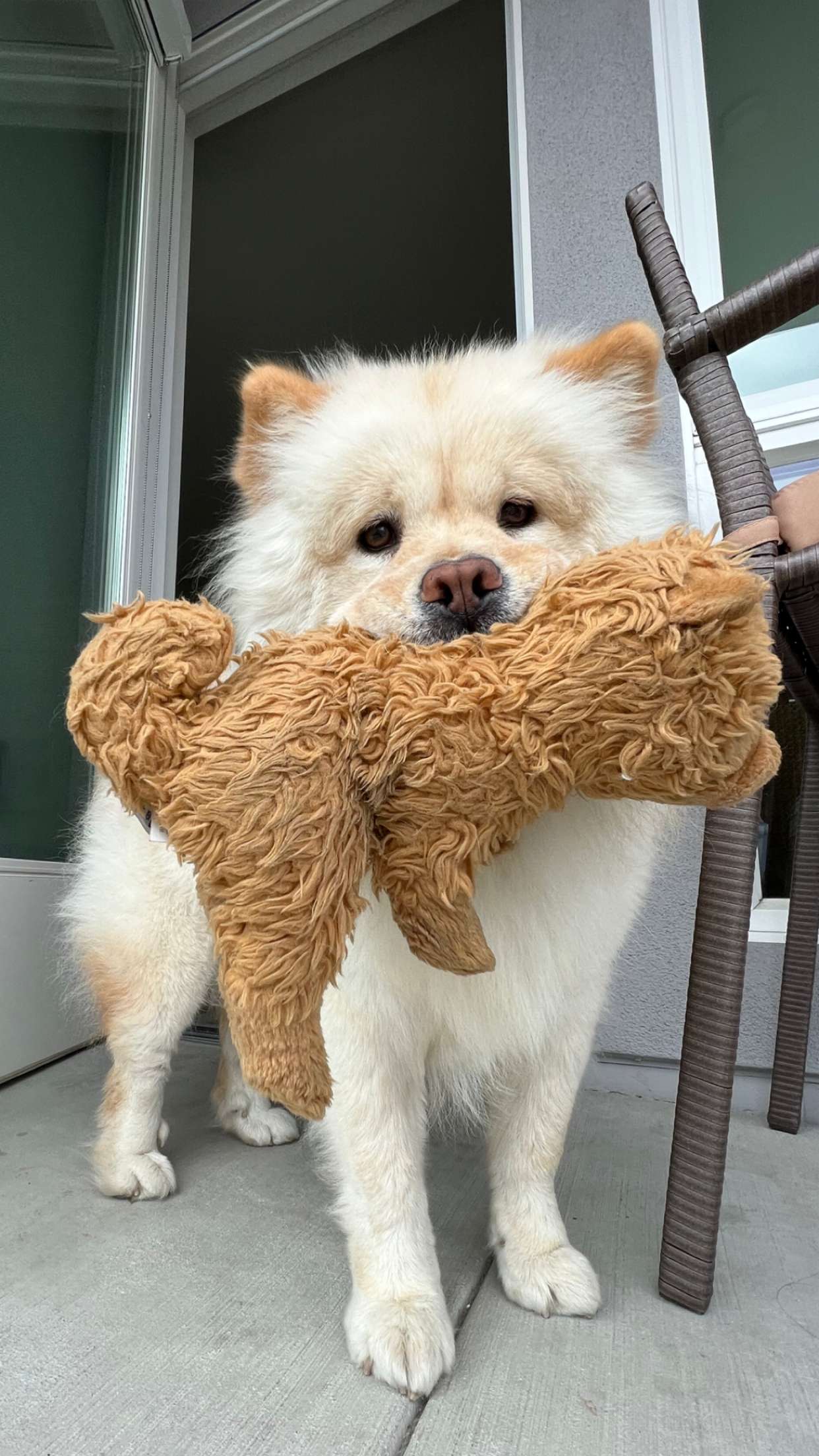 chloerosenbaum snapchat image archive image