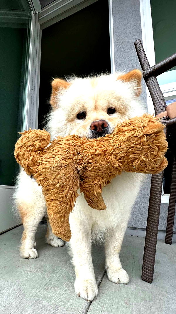 chloerosenbaum image ~ Altpins