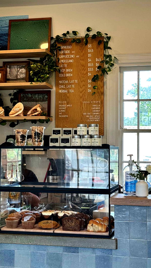 chloerosenbaum image ~ Altpins