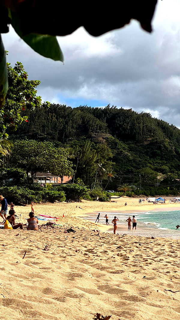 chloerosenbaum image ~ Altpins