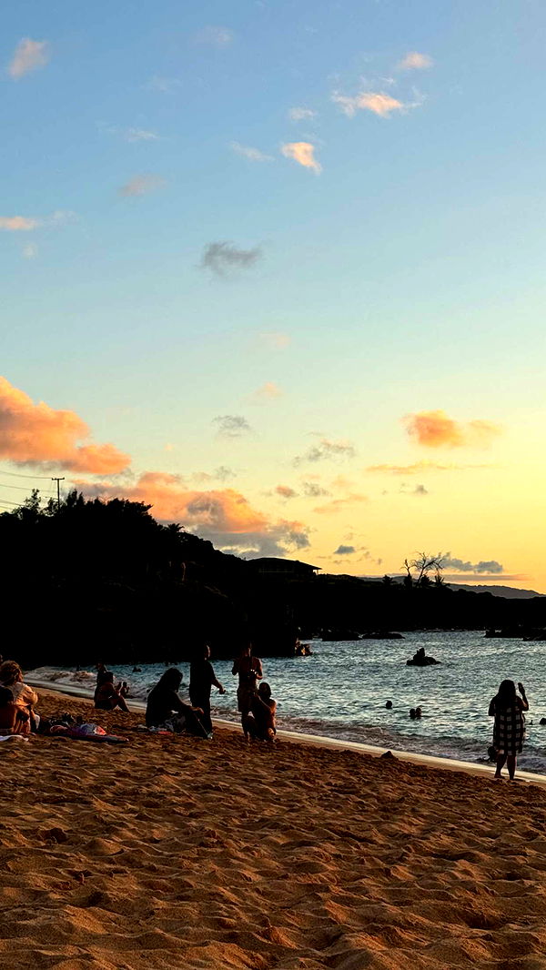 chloerosenbaum image ~ Altpins