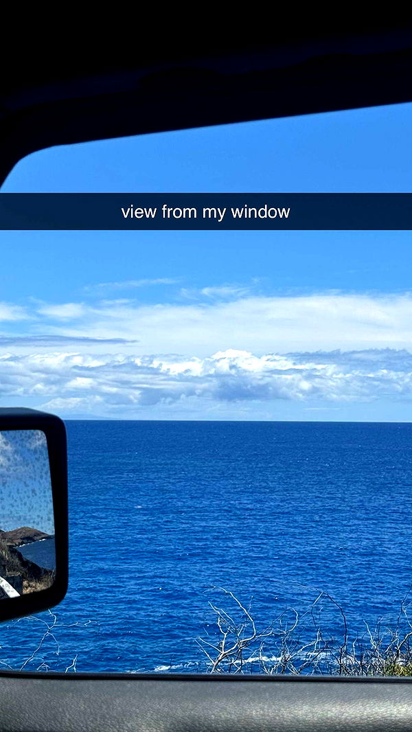 chloerosenbaum image ~ Altpins