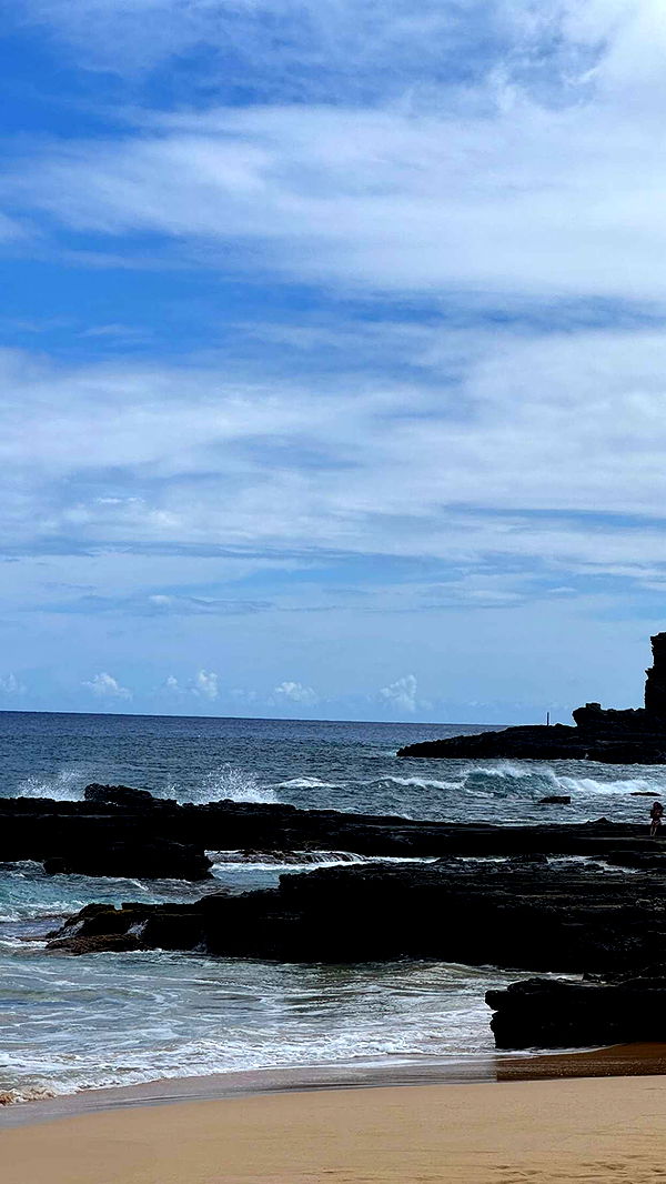 chloerosenbaum image ~ Altpins