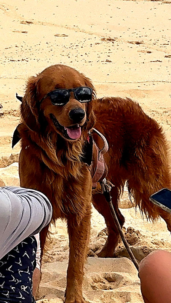 chloerosenbaum image ~ Altpins