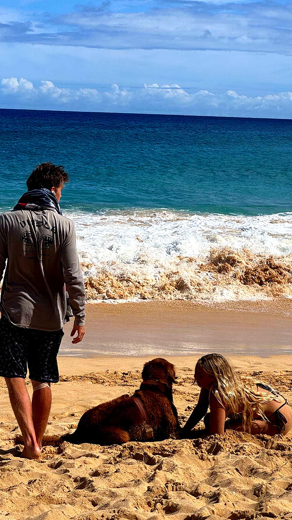 chloerosenbaum image ~ Altpins