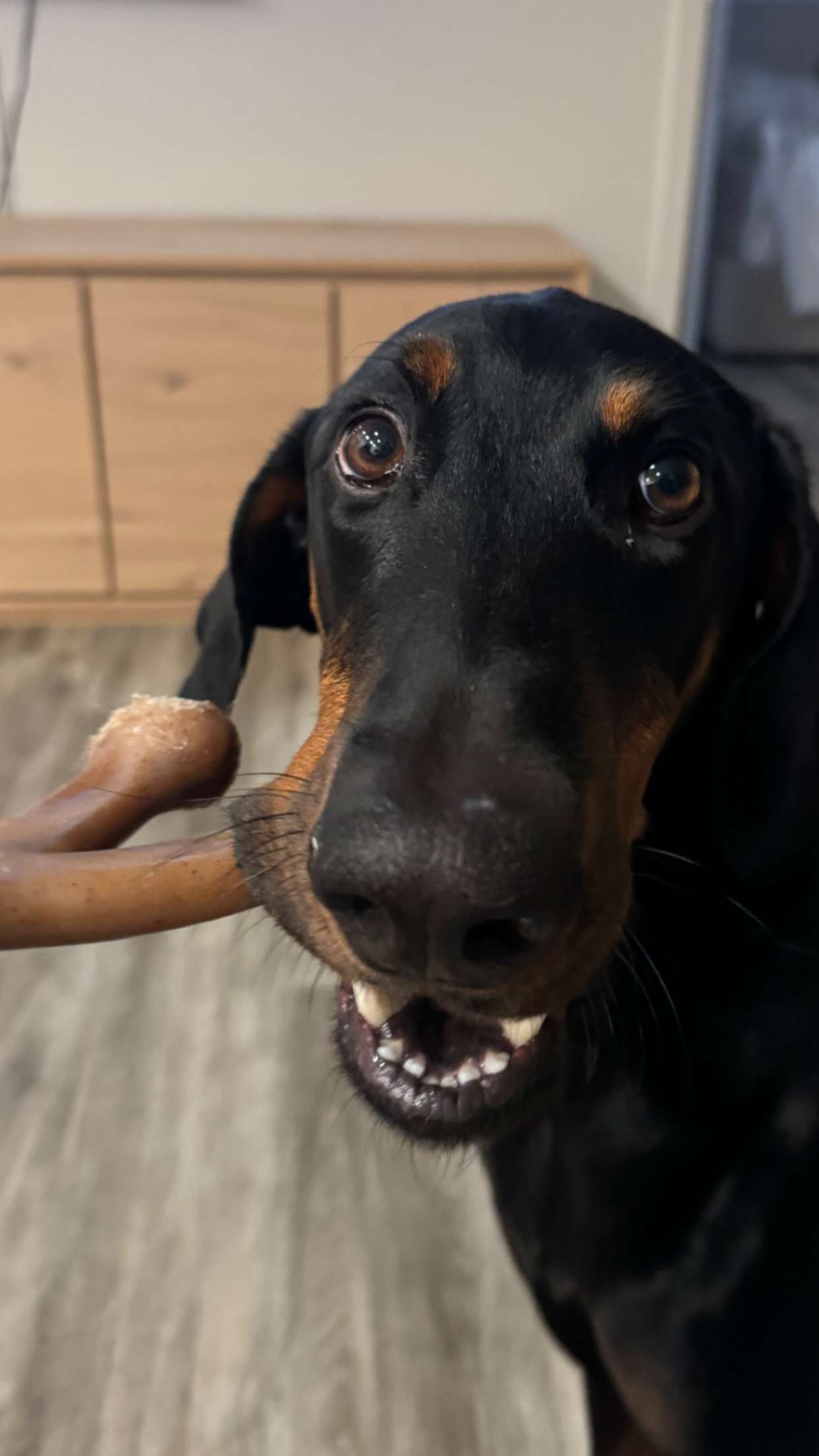 chloerosenbaum snapchat image archive image