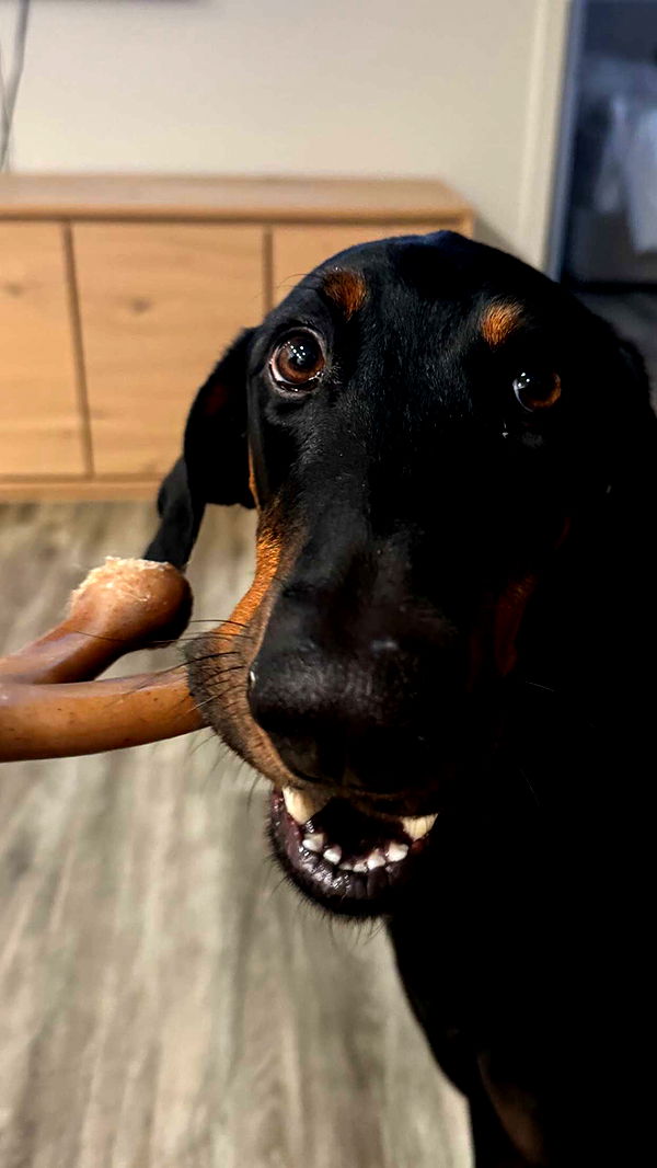 chloerosenbaum image ~ Altpins